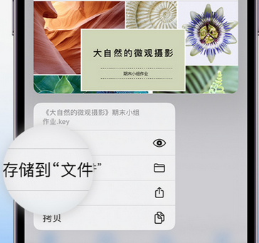 岚县apple维修中心分享iPhone文件应用中存储和找到下载文件