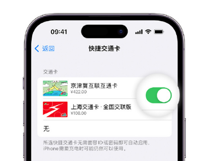 岚县apple维修点分享iPhone上更换Apple Pay快捷交通卡手绘卡面 