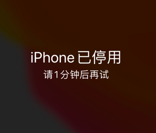 岚县苹果手机维修分享:iPhone 显示“不可用”或“已停用”怎么办？还能保留数据吗？ 