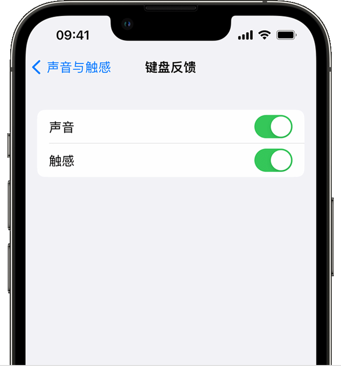 岚县苹果14维修店分享如何在 iPhone 14 机型中使用触感键盘 