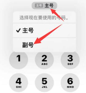 岚县苹果14维修店分享iPhone 14 Pro Max使用副卡打电话的方法 