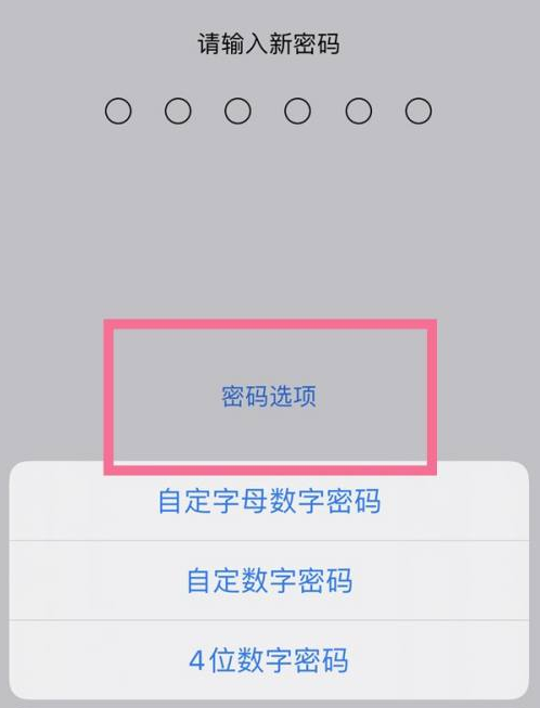 岚县苹果14维修分享iPhone 14plus设置密码的方法 