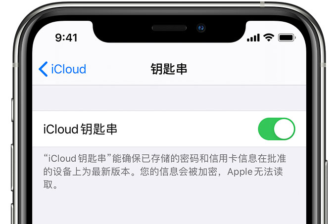 岚县苹果手机维修分享在 iPhone 上开启 iCloud 钥匙串之后会储存哪些信息 