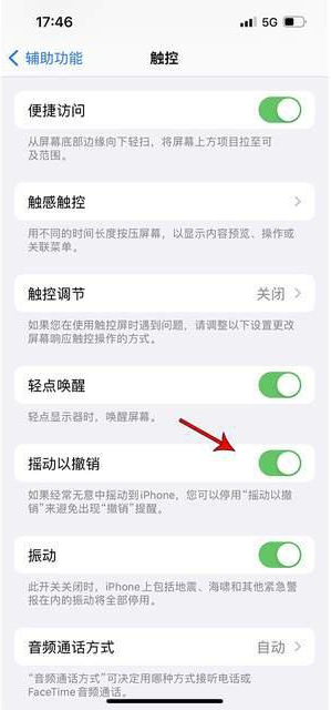 岚县苹果手机维修分享iPhone手机如何设置摇一摇删除文字 